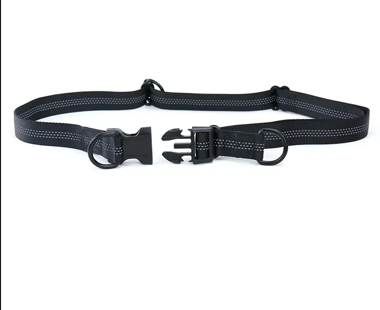 Hands-free Bungee Running Lead