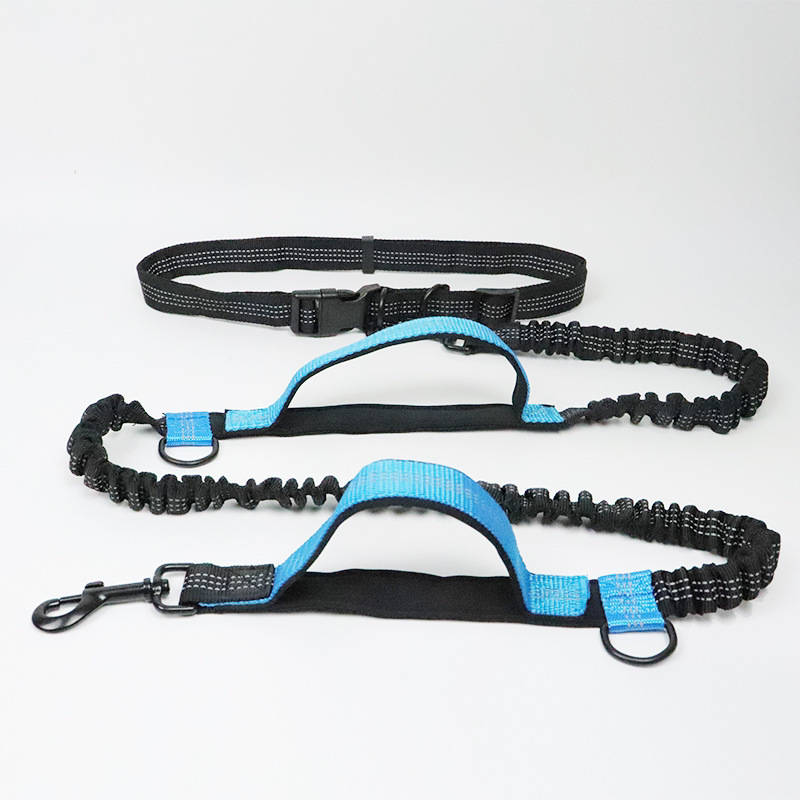 Hands-free Bungee Running Lead