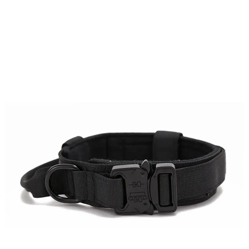 Heavy Duty Metal Buckle Collar