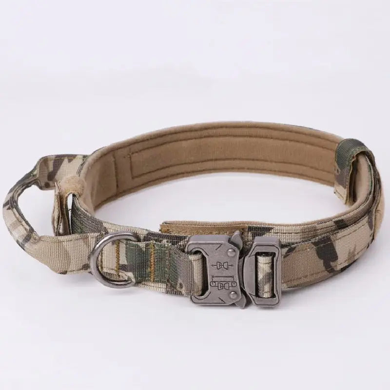 Heavy Duty Metal Buckle Collar