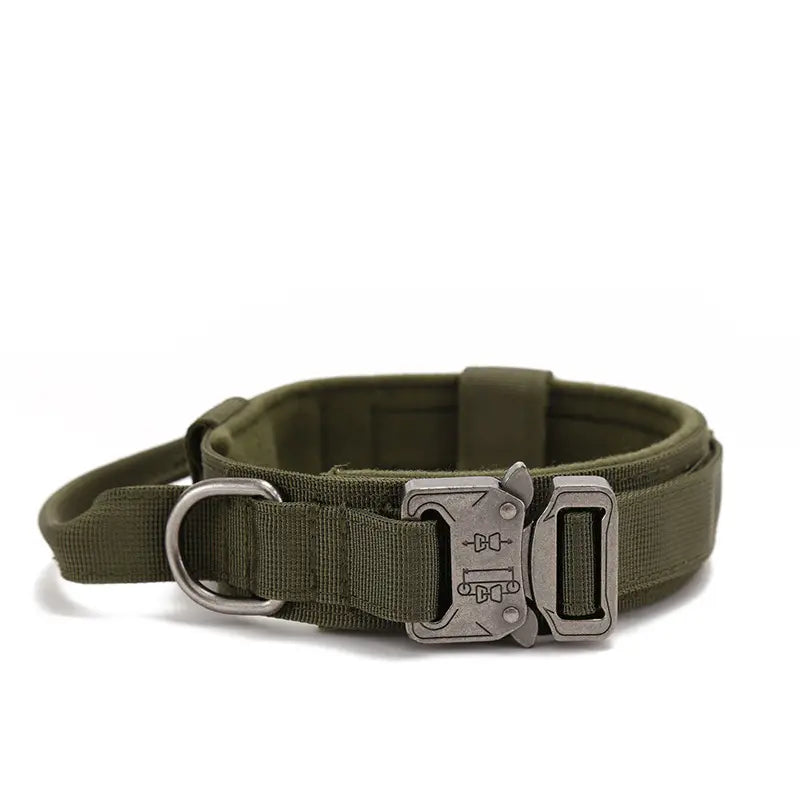 Heavy Duty Metal Buckle Collar