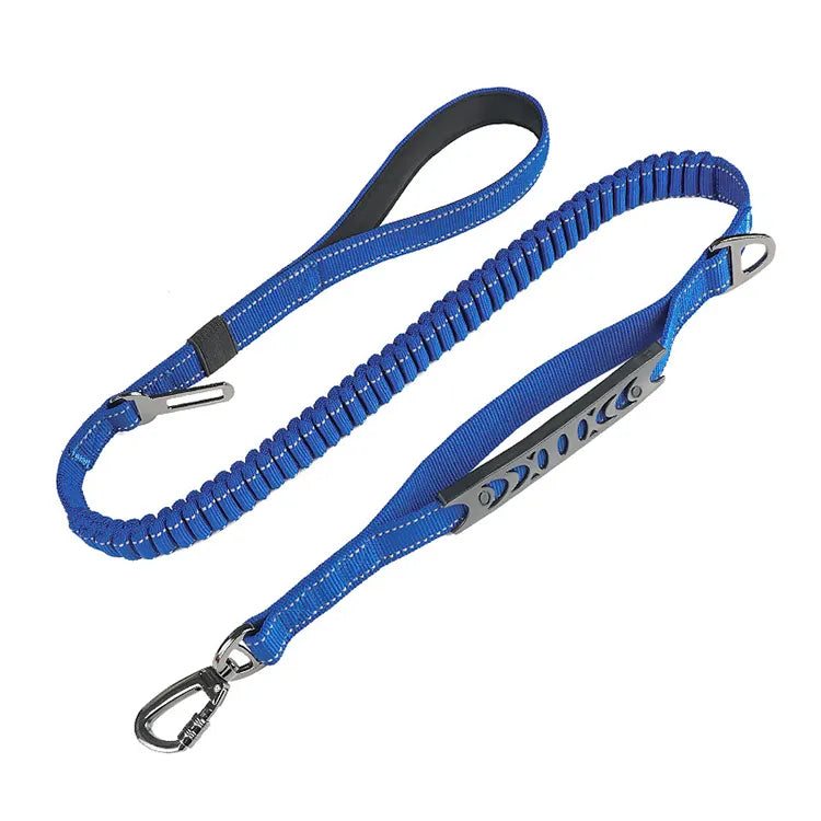 Multi-purpose Leash