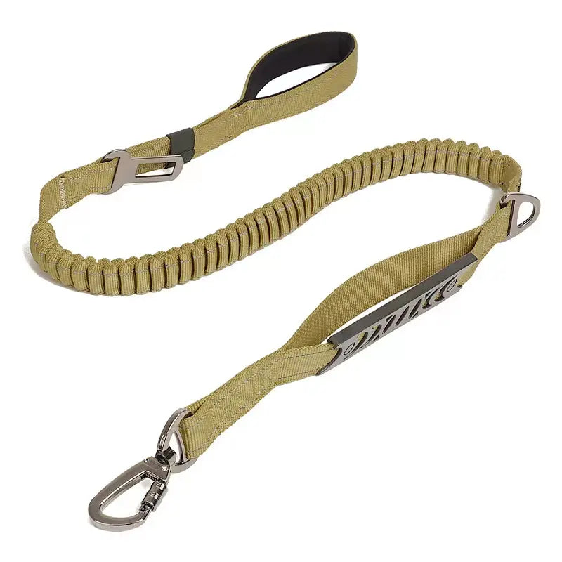 Multi-purpose Leash