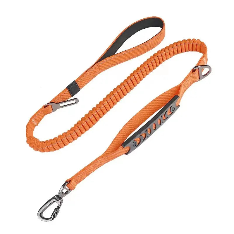 Multi-purpose Leash