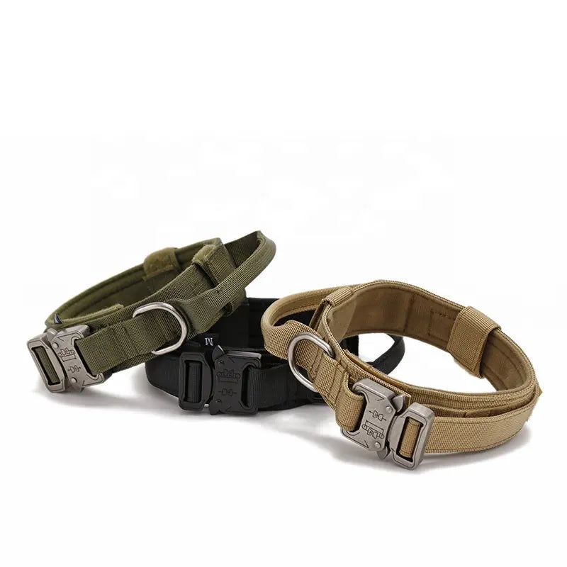 Heavy Duty Metal Buckle Collar